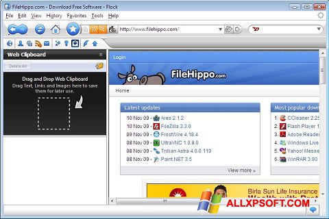Ekraanipilt Flock Windows XP