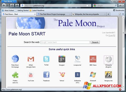 Ekraanipilt Pale Moon Windows XP