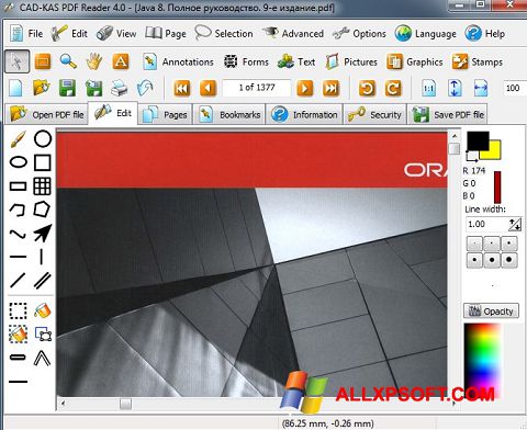 Ekraanipilt PDF Reader Windows XP