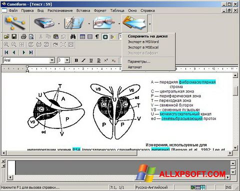 Ekraanipilt CuneiForm Windows XP