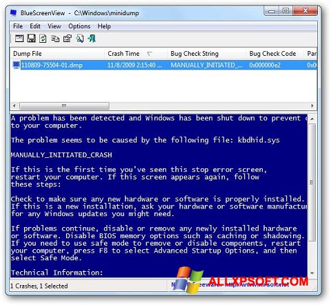 Ekraanipilt BlueScreenView Windows XP