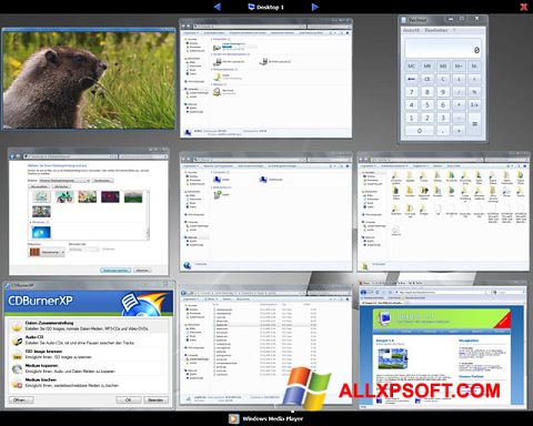 Ekraanipilt Dexpot Windows XP