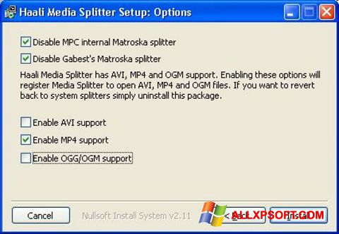 Ekraanipilt Haali Media Splitter Windows XP
