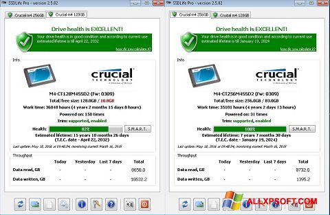 Ekraanipilt SSDLife Windows XP