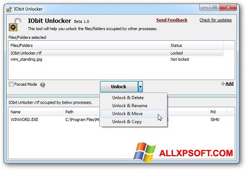 Ekraanipilt IObit Unlocker Windows XP